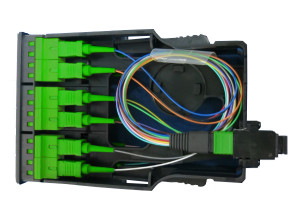 MPO - SC Fiber Cassette - 12C OM5 (UPC) - With Cable